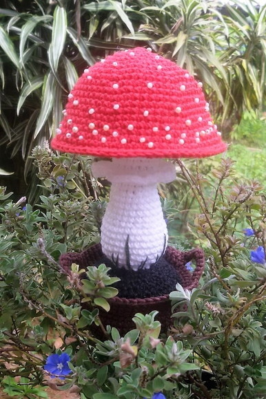 Cogumelo no vasinho