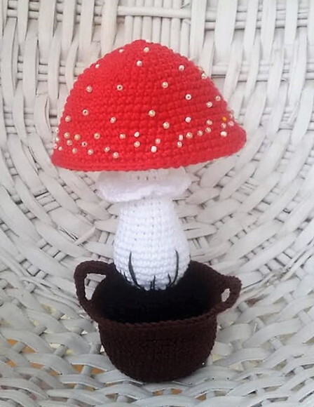 Cogumelo no vasinho