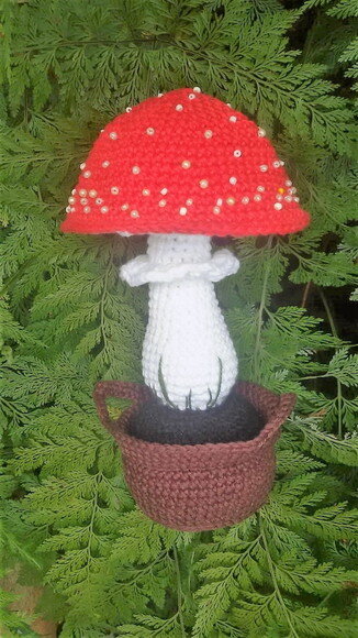 Cogumelo no vasinho