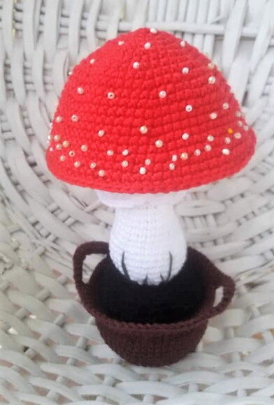 Cogumelo no vasinho