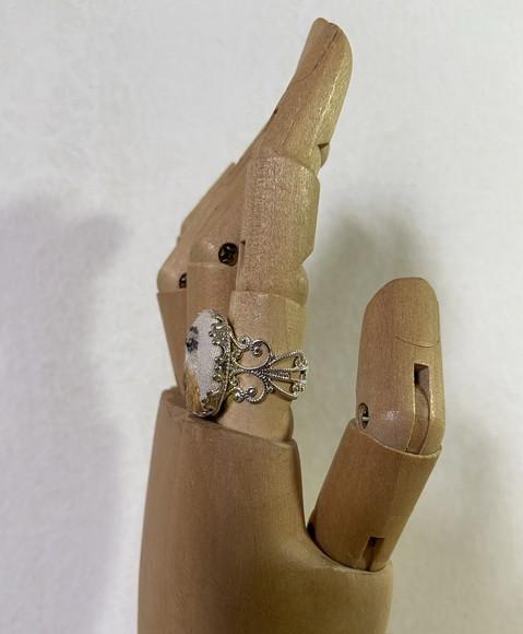 Anel Bordado Bem-te-vi