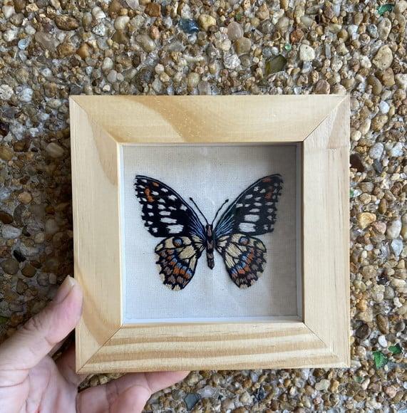 Quadro Bordado Borboleta Limão