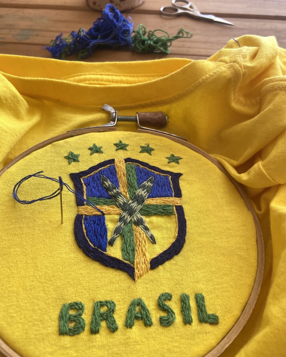 Camiseta bordada do Brasil