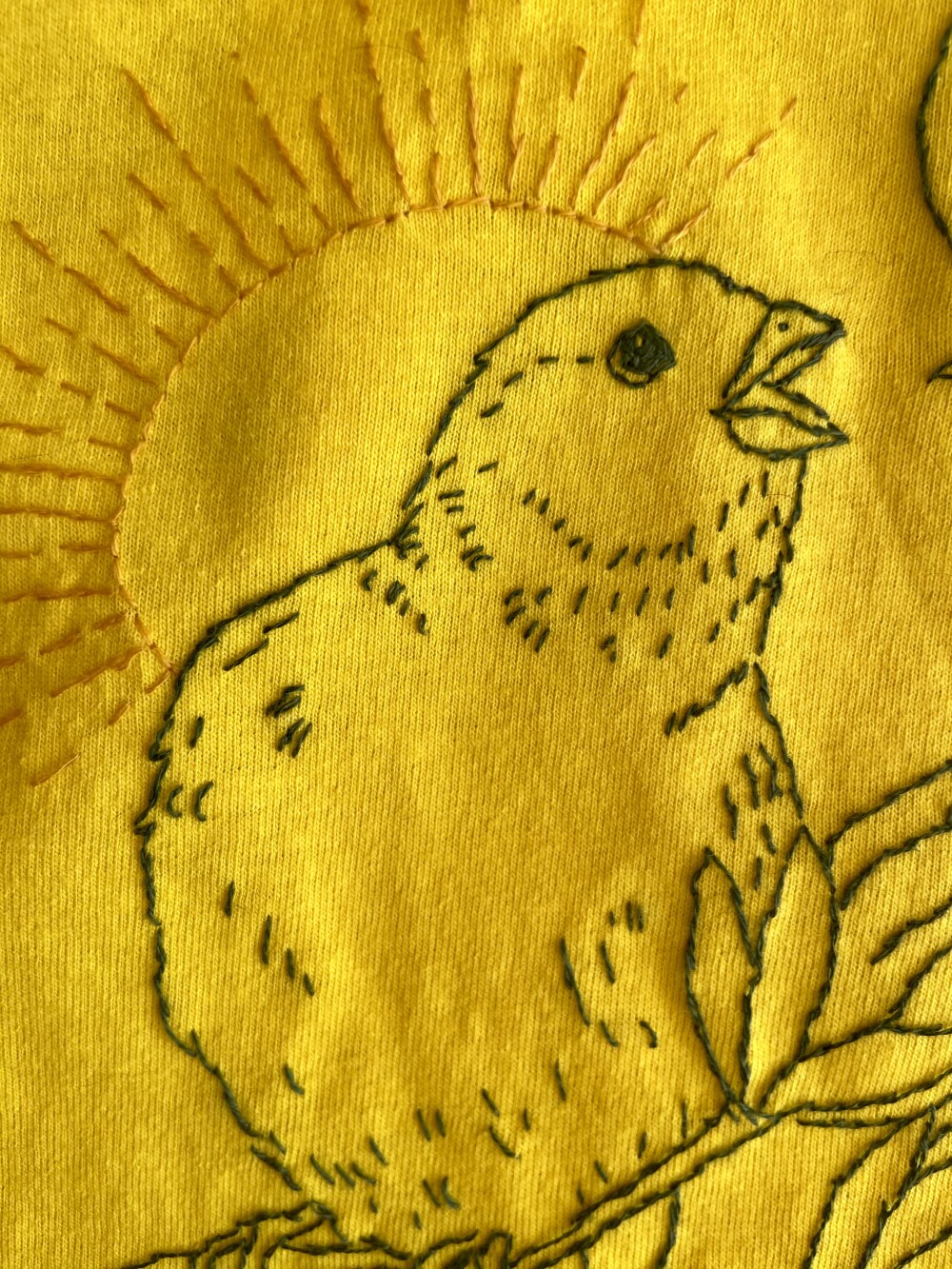 Camiseta bordada do Brasil