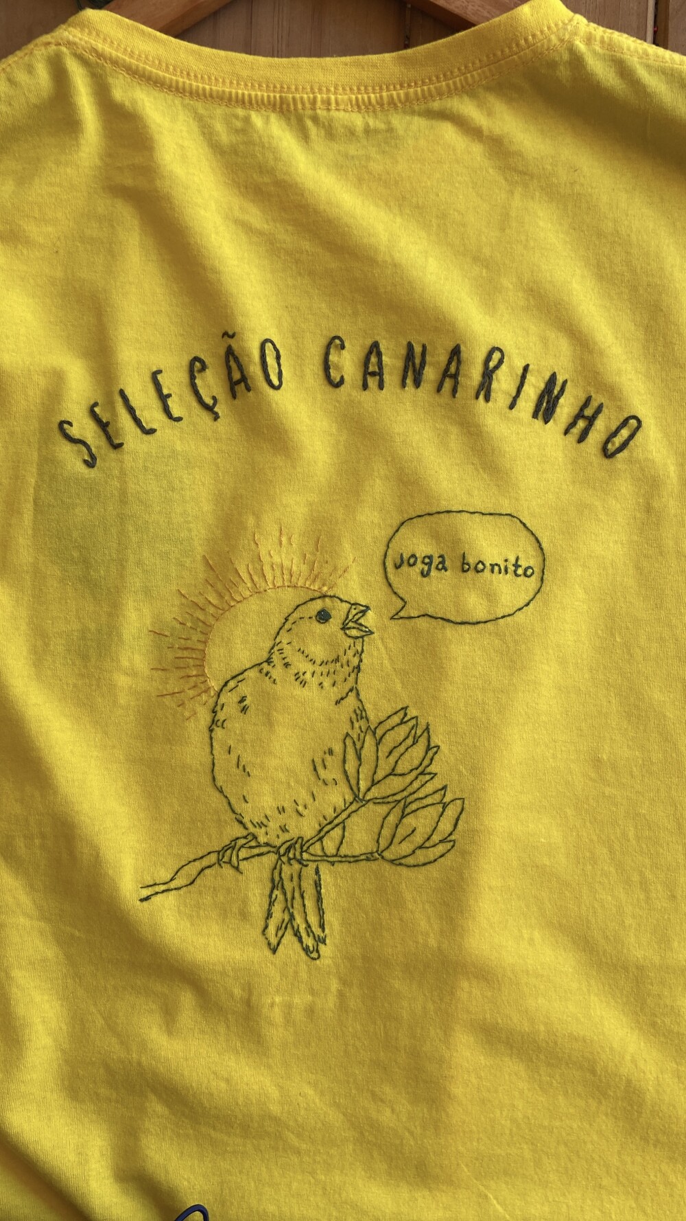 Camiseta bordada do Brasil