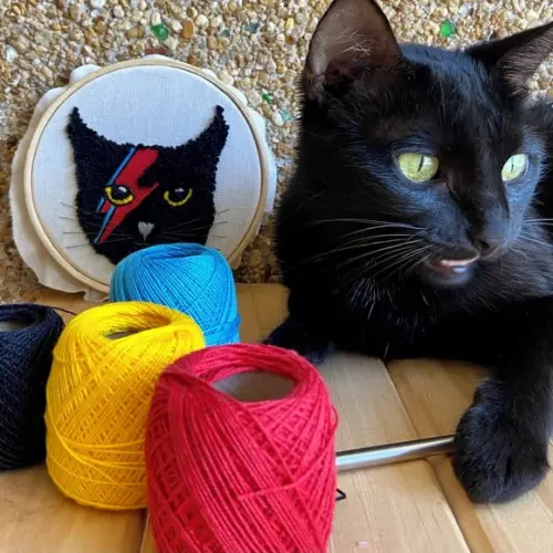 Bastidor Bordado Gatinha - Bowie