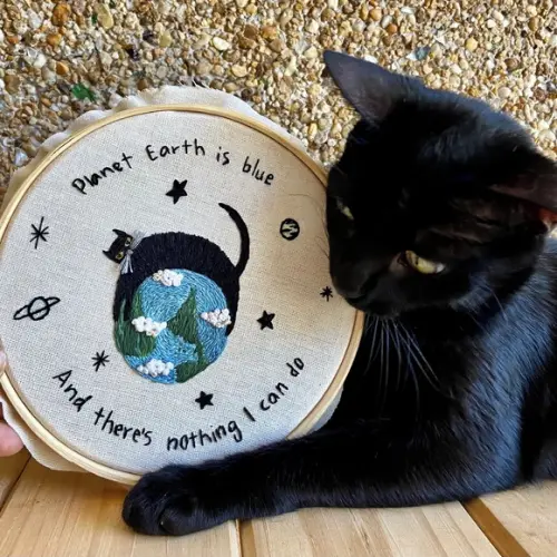 Bastidor Bordado Gatinha - Bowie ||