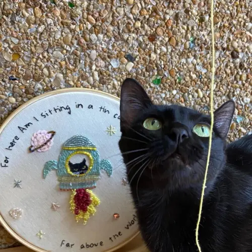Bastidor Bordado Gatinha - Bowie III