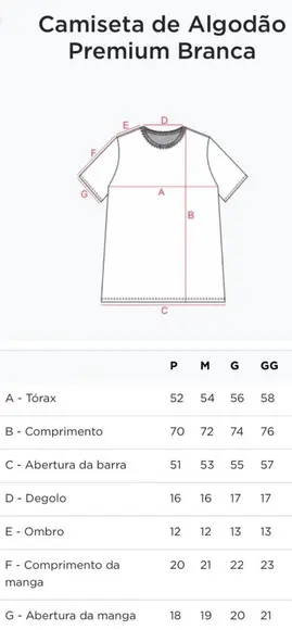 Camiseta Bordada América Latina