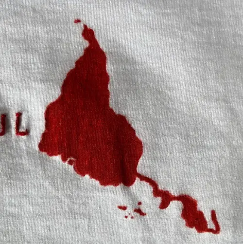 Camiseta Bordada Nosso Norte É o Sul