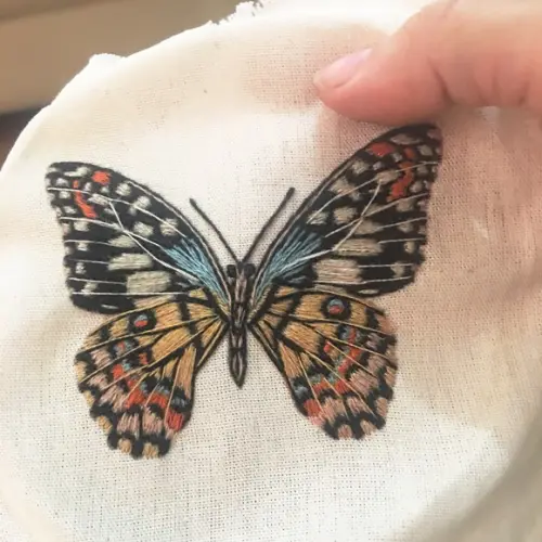 Quadro Bordado Borboleta Limão