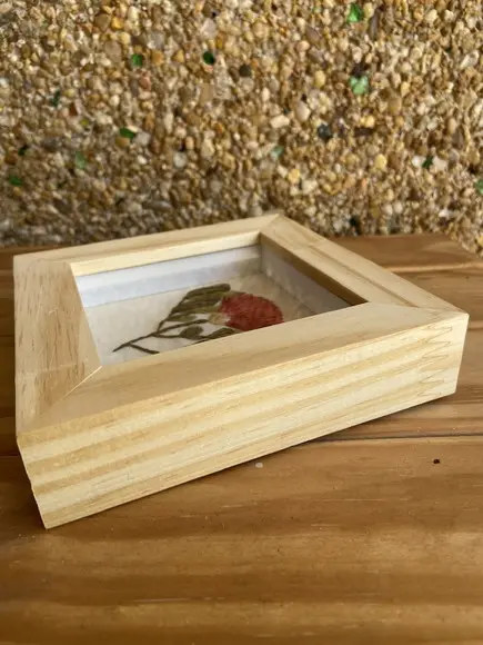 Quadro Bordado Caliandra