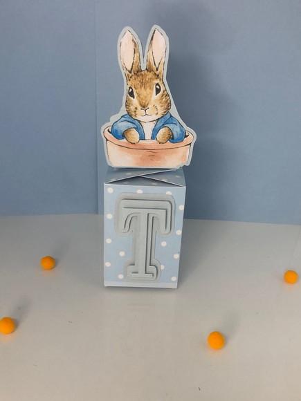 Personalizados Peter Rabbit - Kit com 40 Unidades
