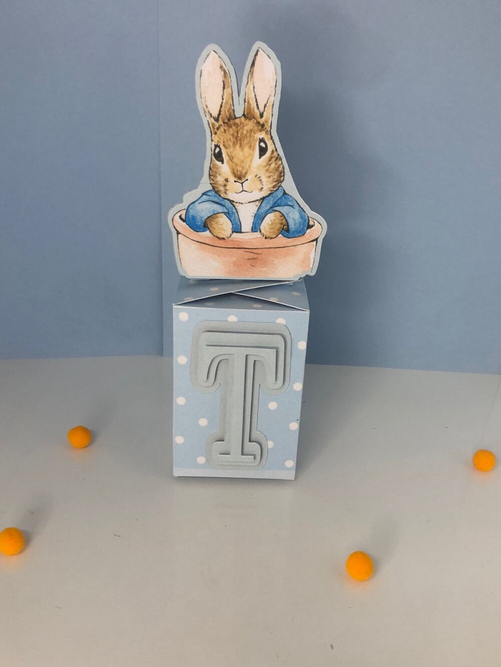 Personalizados Peter Rabbit - Kit com 10 Unidades