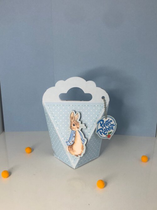 Personalizados Peter Rabbit - Kit com 10 Unidades