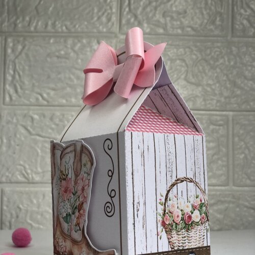 Personalizados Boiadeira Cowgirl - Kit com 10 unidades