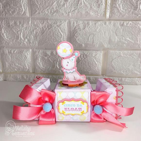 Kit Festa Circo Rosa Luxo - 20 Caixas Personalizadas