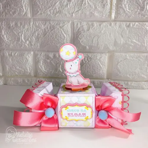 Kit Festa Circo Rosa Luxo - 20 Caixas Personalizadas