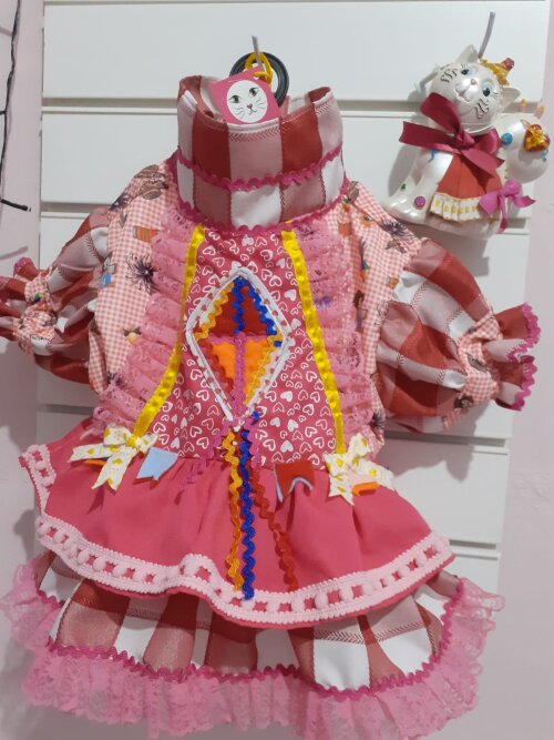 Vestido Pet Festa Junina