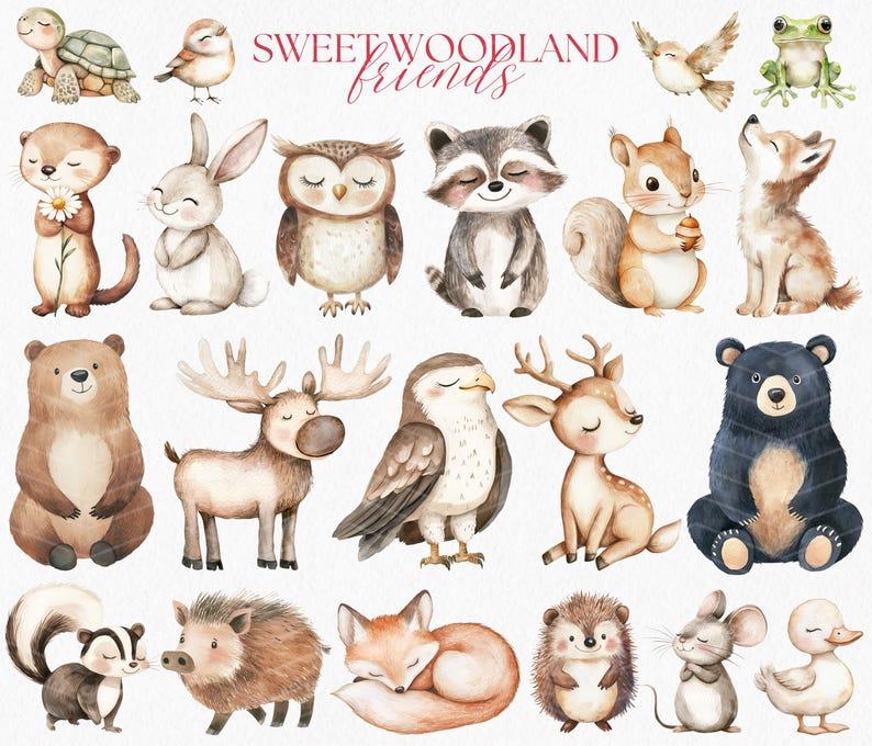 Kit Digital Animais do Bosque Aquarela