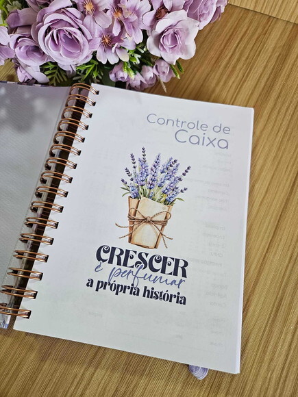 Arquivo Digital Caderno Controle de Caixa Lavanda pdf