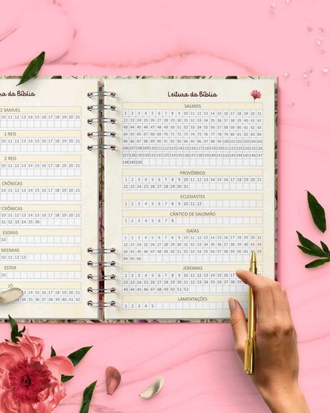 Arquivo Digital Devocional Leitura da Bíblia 365 Dias pdf