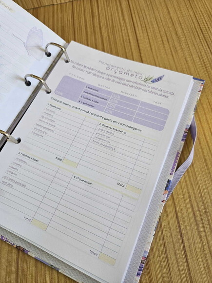 Arquivo Digital Planner Financeiro Lavanda pdf