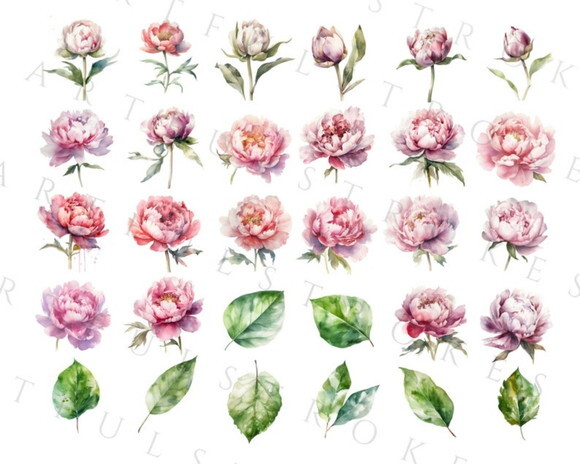 Combo Digital Floral Aquarela - 4 Kits 115 Png