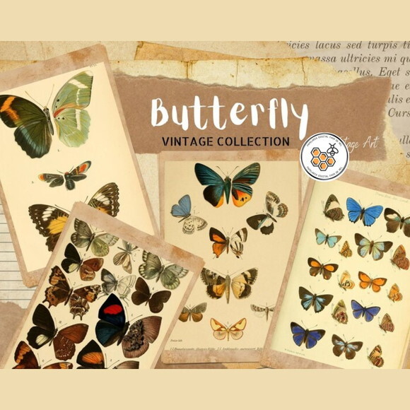 Kit Digital Borboletas Vintage Premium - Butterfly