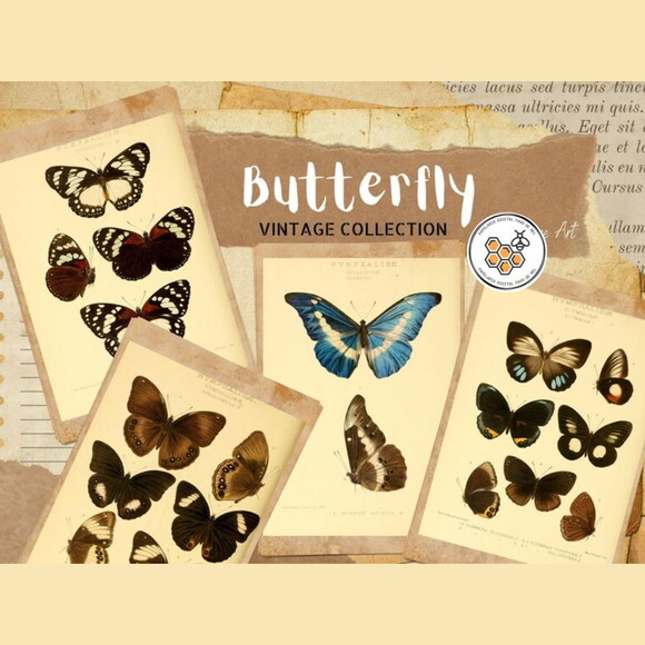 Kit Digital Borboletas Vintage Premium - Butterfly