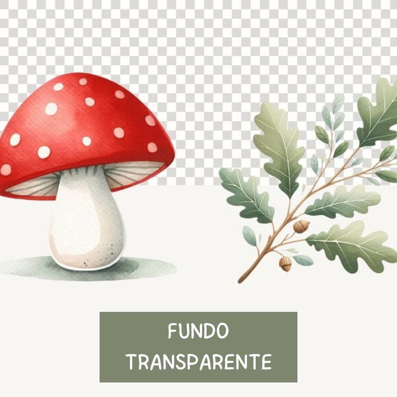 Kit Digital Bosque #16 Boho Aquarela Premium (sd)