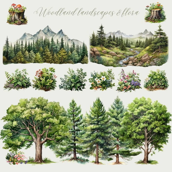 Kit Digital Bosque Realista Png Premium #43 Animais Floresta