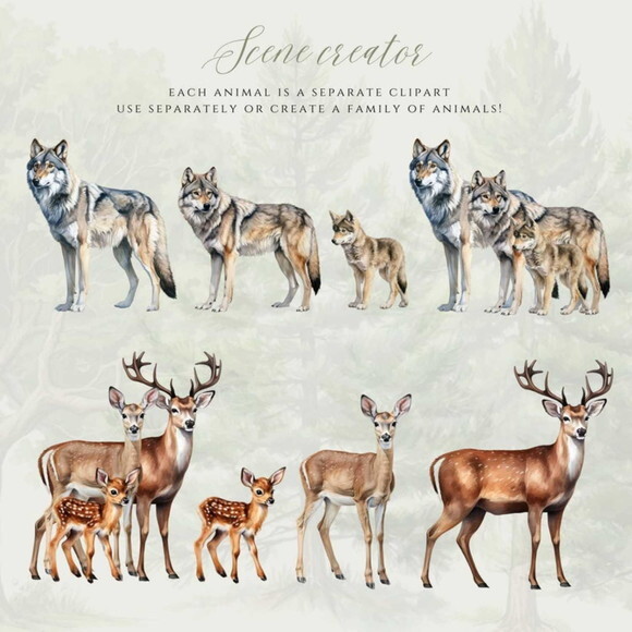 Kit Digital Bosque Realista Png Premium #43 Animais Floresta
