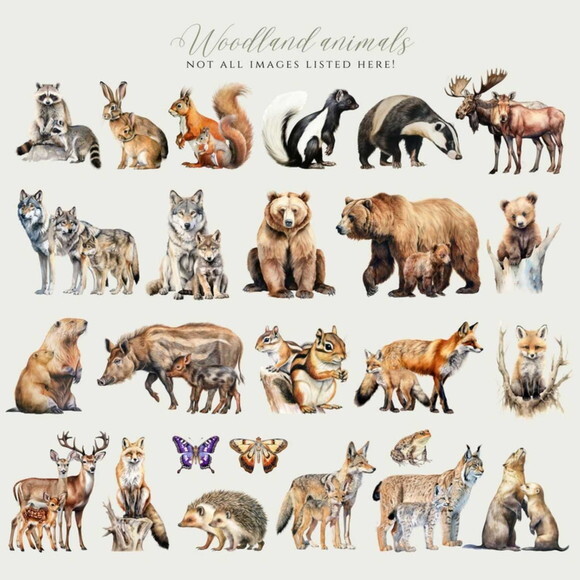 Kit Digital Bosque Realista Png Premium #43 Animais Floresta