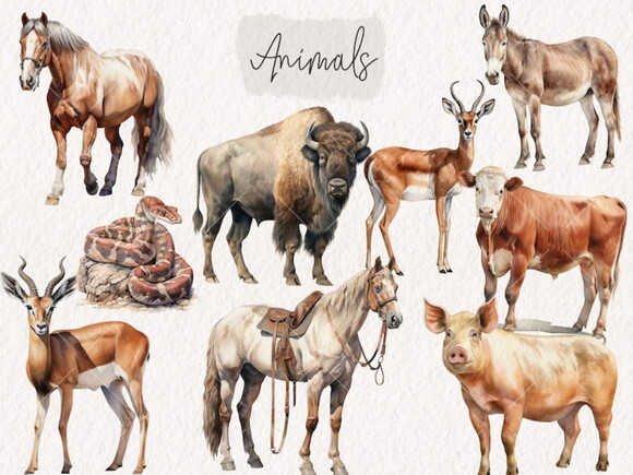Kit Digital Cowboy e Cowgirl Aquarela #4 Png (pague 1 Leve 5