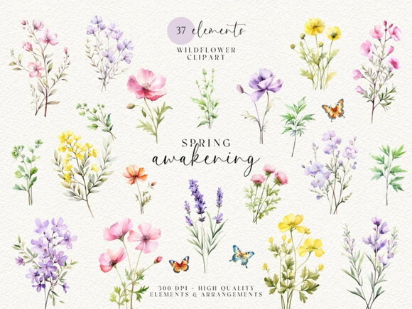 Kit Digital Flores do Campo Aquarela #05 Floral Aquarela Png
