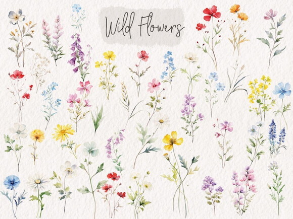 Kit Digital Flores do Campo Aquarela Png Premium