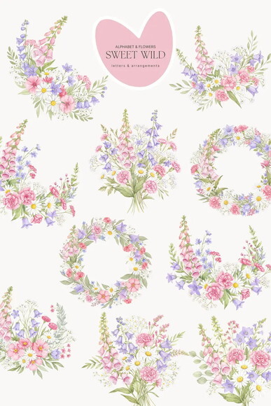 Kit Digital Flores do Campo Rosa com Alfabeto Png Aquarela
