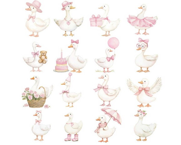 Kit Digital Ganso Rosa Aquarela #22 Png Premium