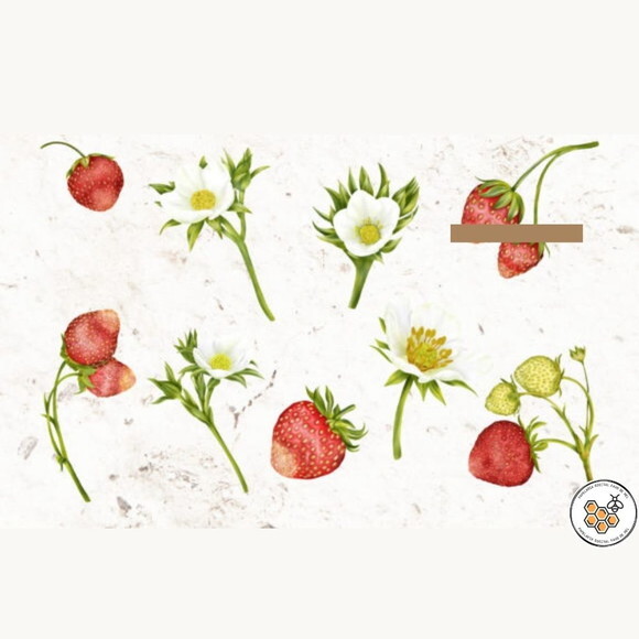 Kit Digital Jardim de Morango Aquarela - Strawberry Garden