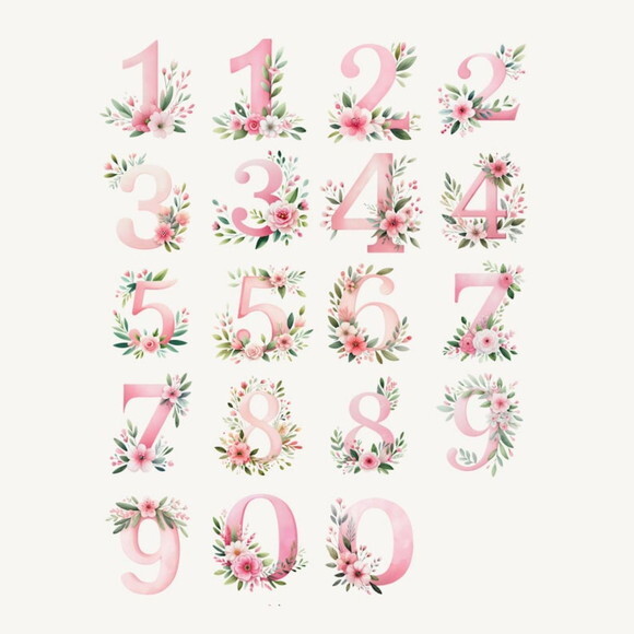 Kit Digital Números Floral Rosa Aquarela Premium