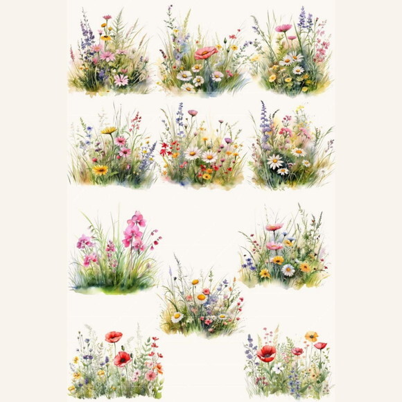Kit Digital Png Flores do Campo Aquarela (pague 1 Leve +4)