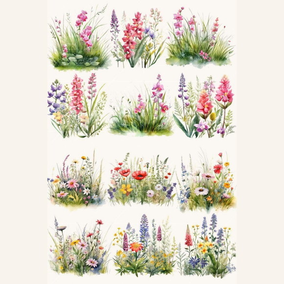 Kit Digital Png Flores do Campo Aquarela (pague 1 Leve +4)