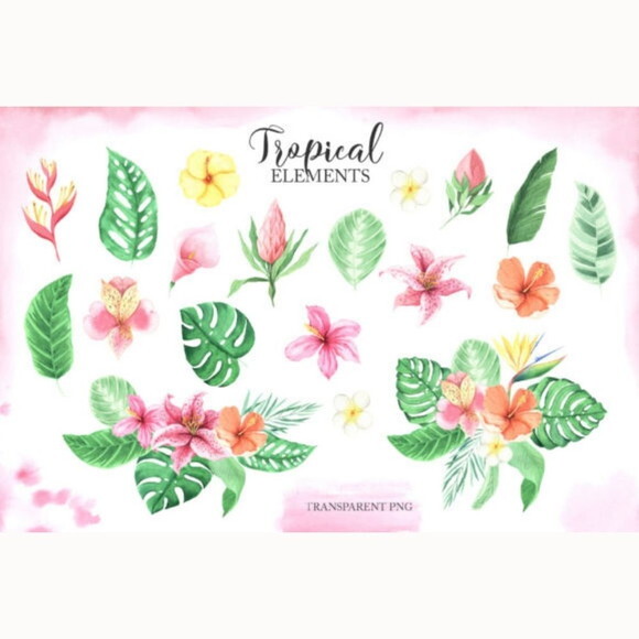 Kit Digital Png Safari Baby 06 Tropical (pague 1 Leve +4)