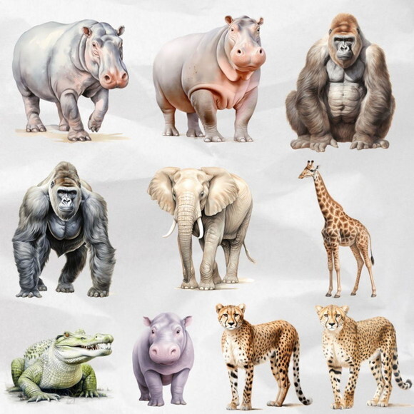 Kit Digital Safari Realista Premium (ddm)