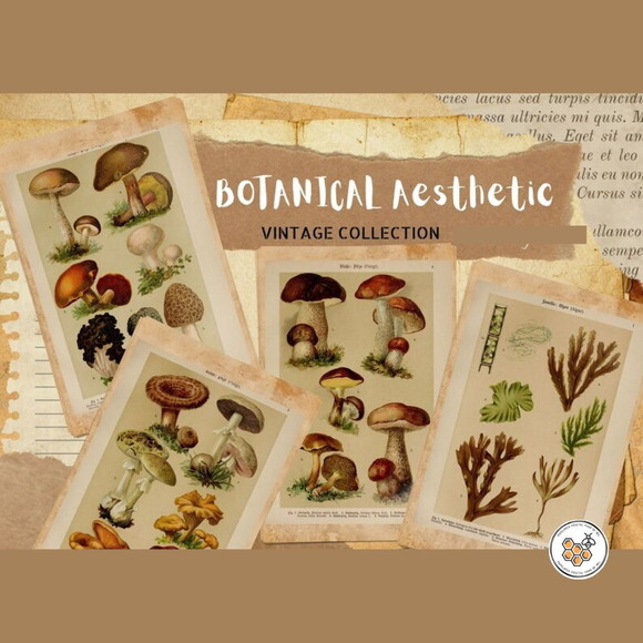 Kit Digital Vintage Botânico - 80 Elementos