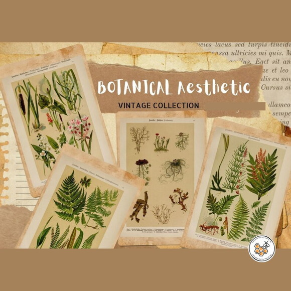 Kit Digital Vintage Botânico - 80 Elementos