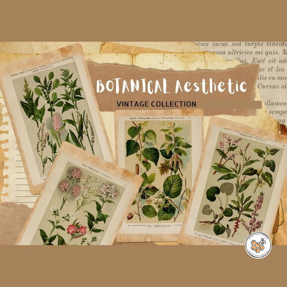 Kit Digital Vintage Botânico - 80 Elementos