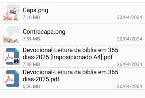 Arquivo Digital Devocional Bíblia 365 Dias Datado - Blessed