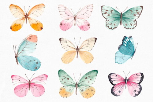 Kit Digital Borboletas Aquarela #8